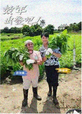 综艺海报 慢岛生活手册 横版海报